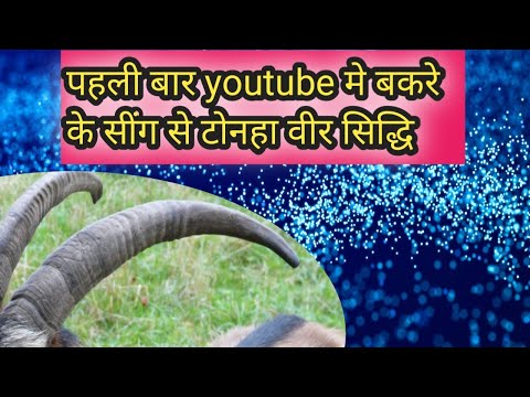 तुरंत काम करने वाली डायनी विद्या /हर कार्य करलो अब //kali shaktiya kaise prapt kare