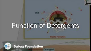 Function of Detergents