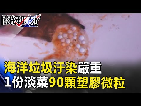 海洋垃圾汙染嚴重！1份淡菜你將吃進90顆塑膠微粒… 關鍵時刻 20171204-2 黃創夏 馬西屏 朱學恒 - YouTube(12分43秒)