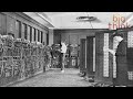 Understanding Alan Turing and Ada Lovelace's Contributions to Computing