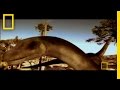Dinosaur Discoveries in the Gobi Desert