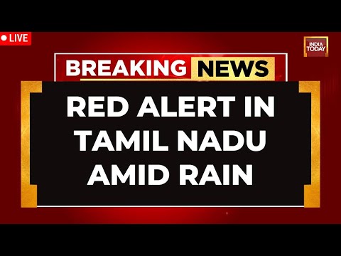 LIVE: Tamil Nadu On Red Alert Amid Heavy Rain, Cyclone Likely To Form Over Bay Of Bengal