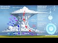 Hailstone Formation and Impact