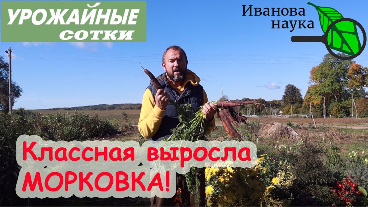 Самый простой способ хранить морковь и свеклу без потерь!