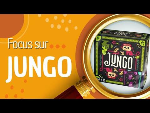 🔎 Focus sur Jungo