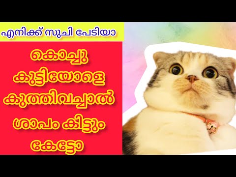 എനിക്ക് കുത്തിവെപ്പ് പേടിയാ 😁 | Malayalam comedy fun dub #comedyvideo #funnyvideo