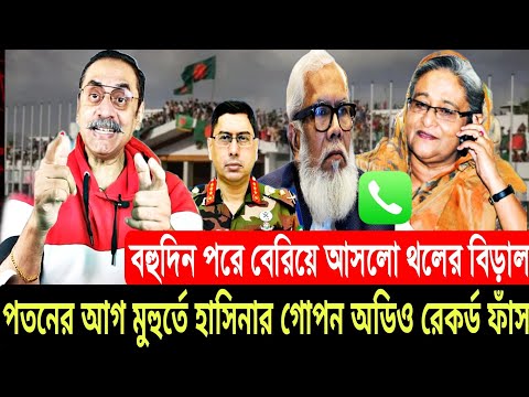 পতনের আগ মুহুর্তে হাসিনার গোপন অডিও রেকর্ড ফাঁস |Ajker Bangla Khobor 01 Feb 2025|Pinaki Bhattacharya