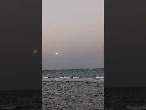 #2025 #travel #cyprus #fly #sting #thepolice