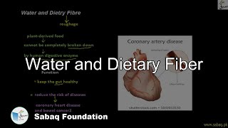 Water and Dietary Fiber