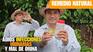 Cómo CURAR el MAL DE ORÍN y la INFECCIÓN URINARIA Rápido y Natural 👉
