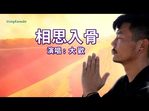 相思入骨-大歡-演唱 KARAOKE