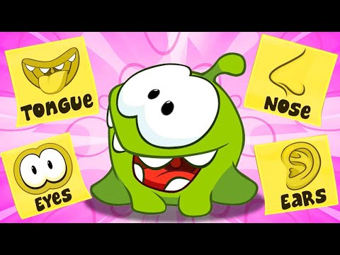 Clase de órganos sensoriales de Om Nom | Videos divertidos de aprendizaje para niños