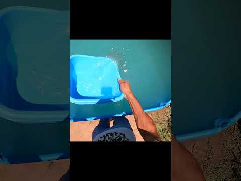 No descuides tu piscina cuando hace mucho calor!