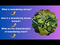 Meandering Rivers and Their Ecosystems