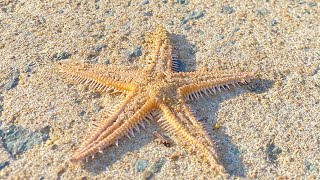 寒くなった海辺