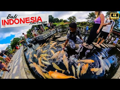 Tirta Gangga The Water Palace! 🏝️😍 Budget travel to bali