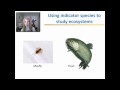 Feedback Loops and Carbon Cycle Concepts