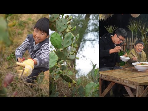 山林里不起眼的野生仙人掌果，晒干后泡酒炖猪脚，却让人回味无穷