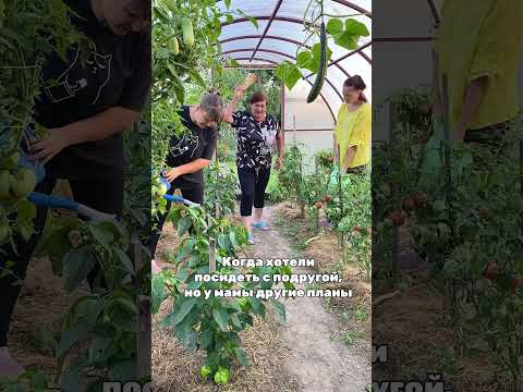 У мамы не забалуешь🤣🤣🤣 #дача #деревня #огород #обзордачи #ремонт #деньвдеревне #сад