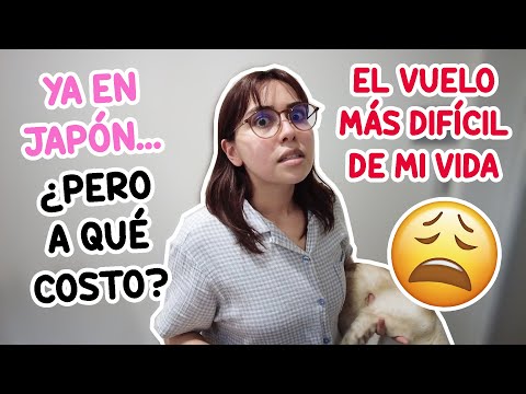 TE ODIO, AEROMÉXICO 😡 STORY TIME DE MI REGRESO A JAPÓN 😵‍💫 | Juli