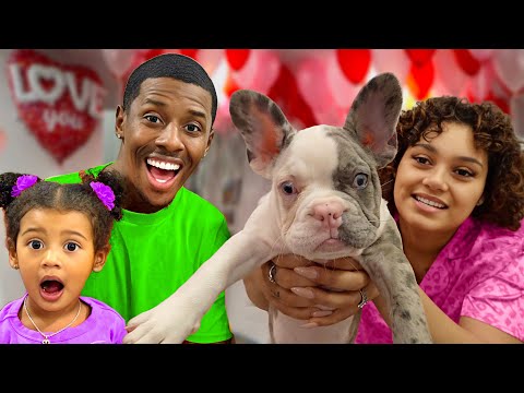 The BIGGEST Valentines Surprise Ever *New Puppy*