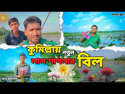 কুমিল্লায় নতুন এতো সুন্দর লাল শাপলার বিল 😱 My First Vlog | Vlog Video | New vlog video