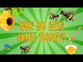 Honey Production and Bee Roles