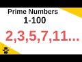 Understanding Prime Numbers and Their Properties