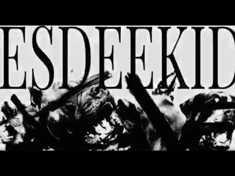 ESDEEKID 4raws extended intro