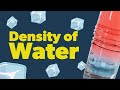 Water Density and Temperature Effects