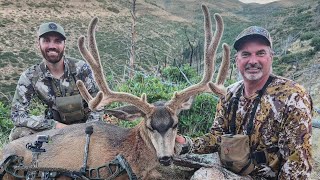 Bedded Buck and Stalk! Utah Archery Hunt with Matt