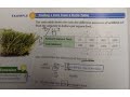 Understanding Ratios and Rates
