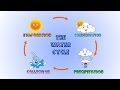 Water Cycle Concepts and Processes
