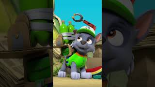 Mints Plus Fizz? Recycling Rocks! | Rocky's Garage | Rocky PAW Patrol