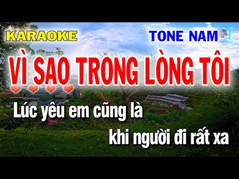 Karaoke Nhạc Trẻ 8x 9x | Vì Sao Trong Lòng Tôi Tone Nam | Công Minh Organ