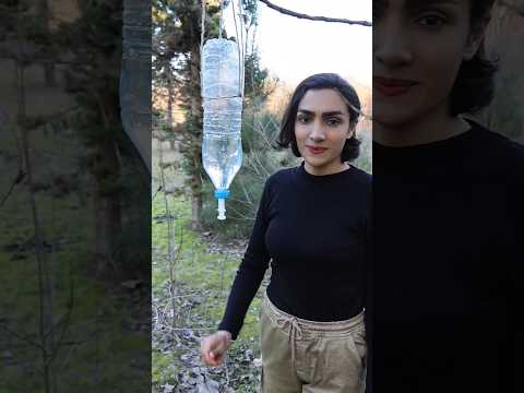 Make your own TAP when outdoors#survival #camping #outdoors #bushcraft #lifehacks #narcissus