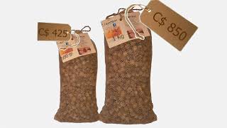 Convierte tus tierras en una inversión en el tiempo