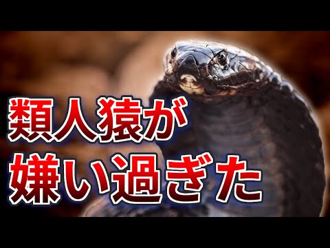 【衝撃】霊長類を嫌い過ぎた毒蛇、飛び道具に手を染める