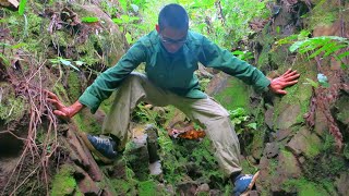 Kinh Nghiệm An Toàn Khi Đi Rừng