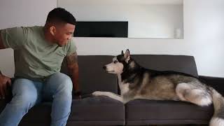 Teaching My Husky to WHISPER!