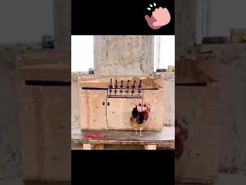 Ой мама не женюсь.#coversong #automobile #каверы #funny #кавер #дагестан #offroad #animals #топкавер