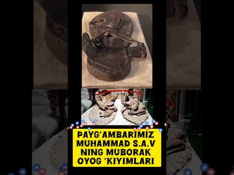 payg'ambarimiz Muhammad s.a.v #shortvideo #iclamic #shortsviral #india #instagram
