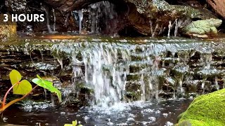 Waterfall Sounds for Relaxation & Meditation | Soothing Nature Sounds (3 Hours)