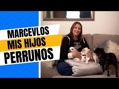 GRABANDO  EL MINI VLOGS DE LA HISTORIA DE MIS HIJAS PERRUNAS |VLOG