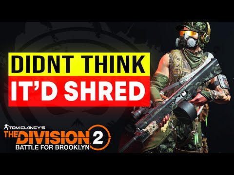 I Should’ve Played This Build WAY Earlier.. ACS-12 MELTS! The Division 2 Brooklyn