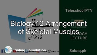 Biology 12 Arrangement of Skeletal Muscles