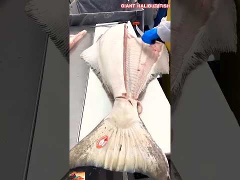 GENIUS - Monster Halibut Filleting Hacks - Big Fish Cutting