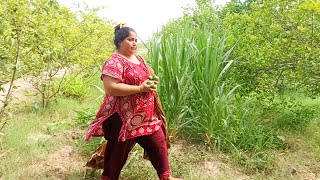 Itni garmi ma chori krty pakri gi🤣@desirangmehvishkesang 