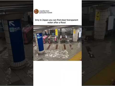 വെള്ളപ്പൊക്കം വന്നാൽ ജപ്പാനെ പോലെ