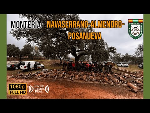 MONTERÍA NAVASERRANO ALMENDRO POSANUEVA 2024 | CD CAZADORES VIRGEN DE VILLAVICIOSA